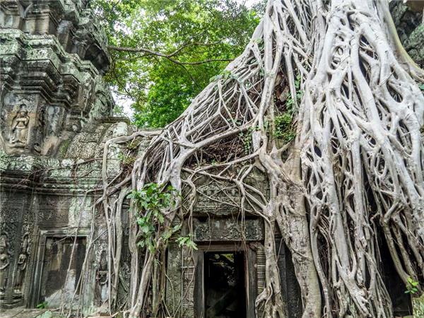 Cambodia adventure