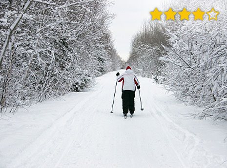 Norway cross country skiing